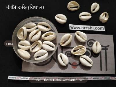 কড়ি - আসল - কাঁটা - বড়