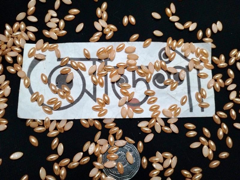 হাফ পার্ল - পাতা - গোল্ডেন