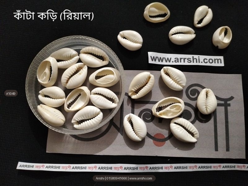 কড়ি - আসল - কাঁটা - বড়