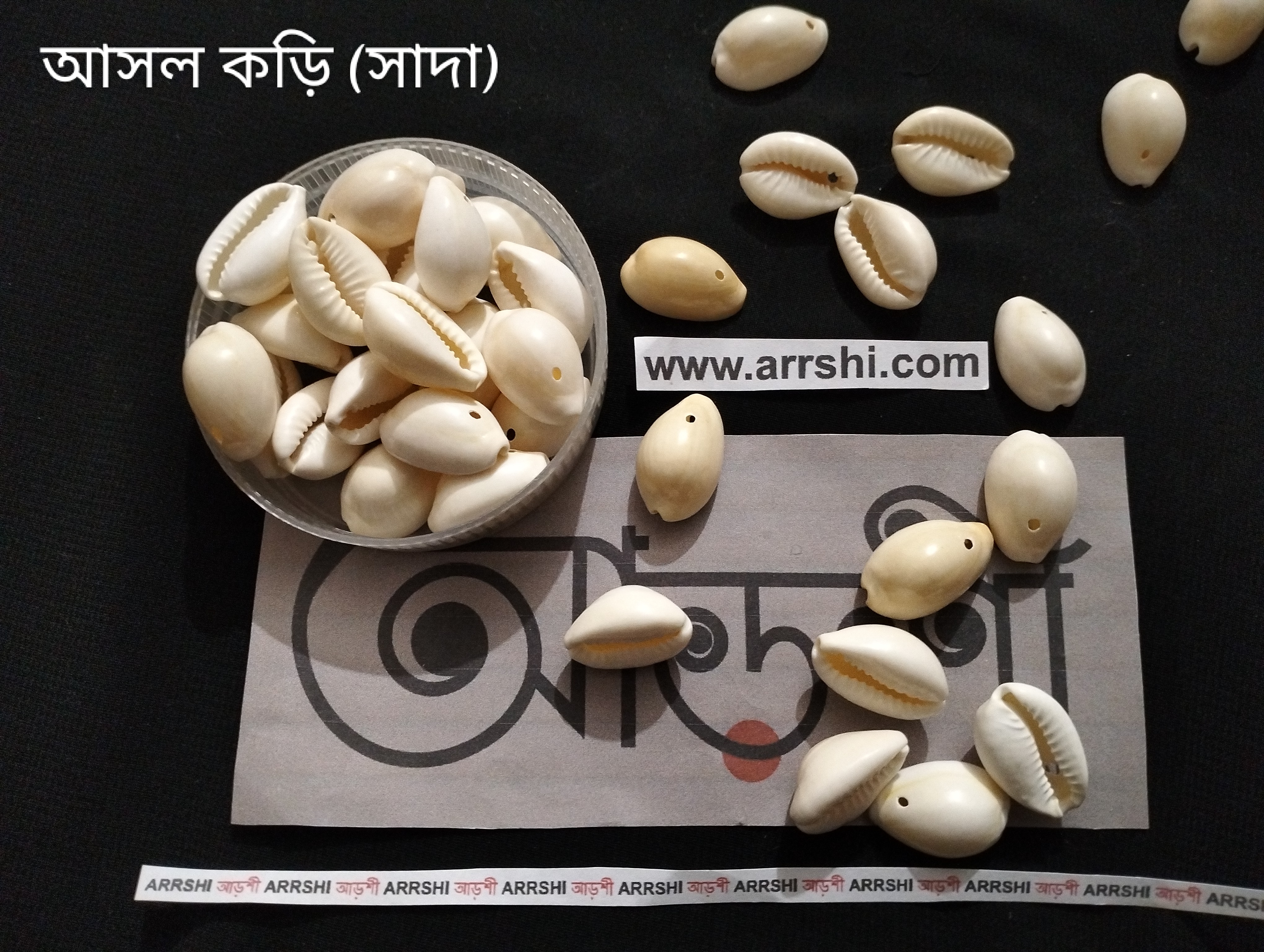 কড়ি - আসল - ছিদ্র