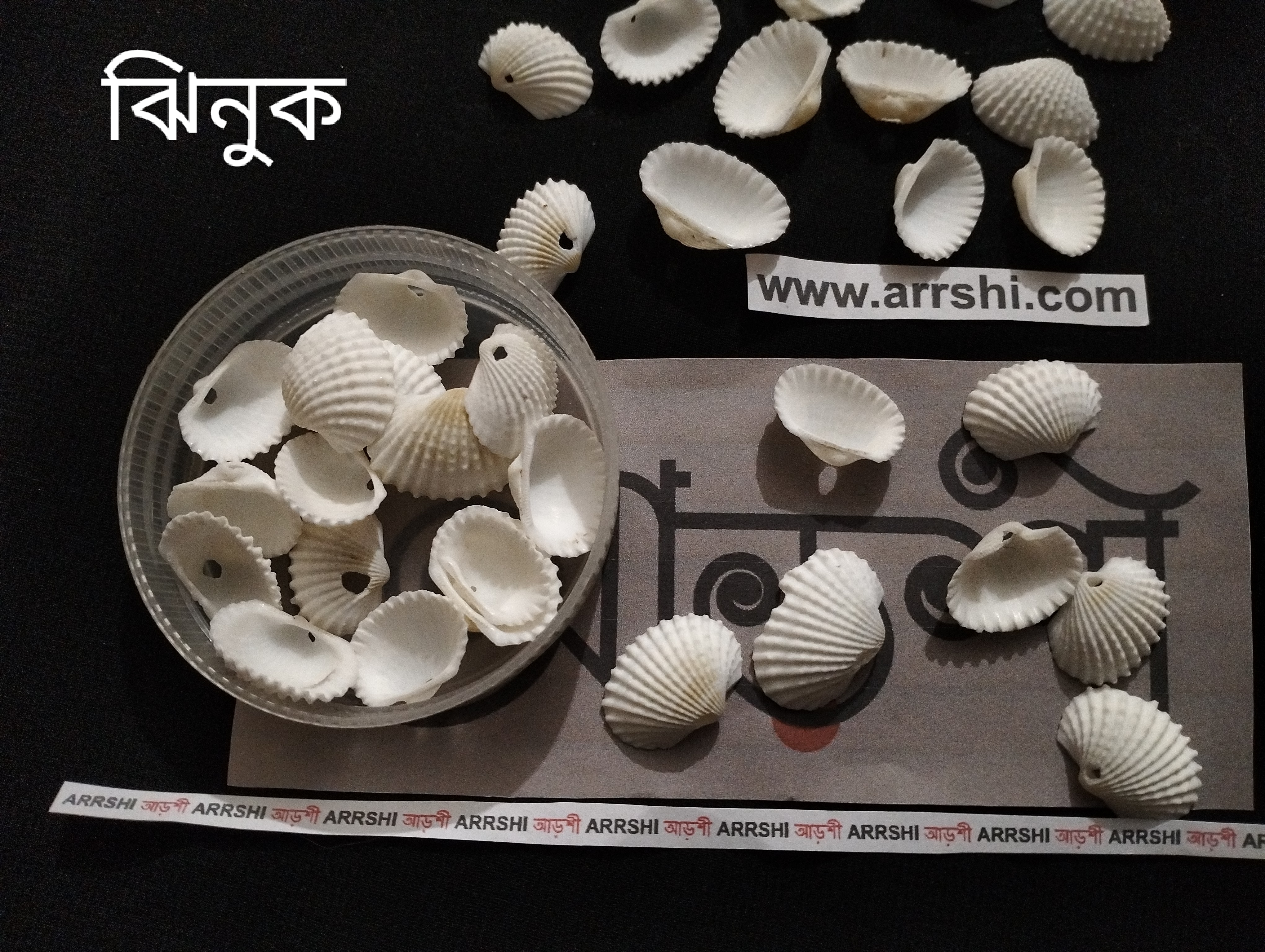 ঝিনুক