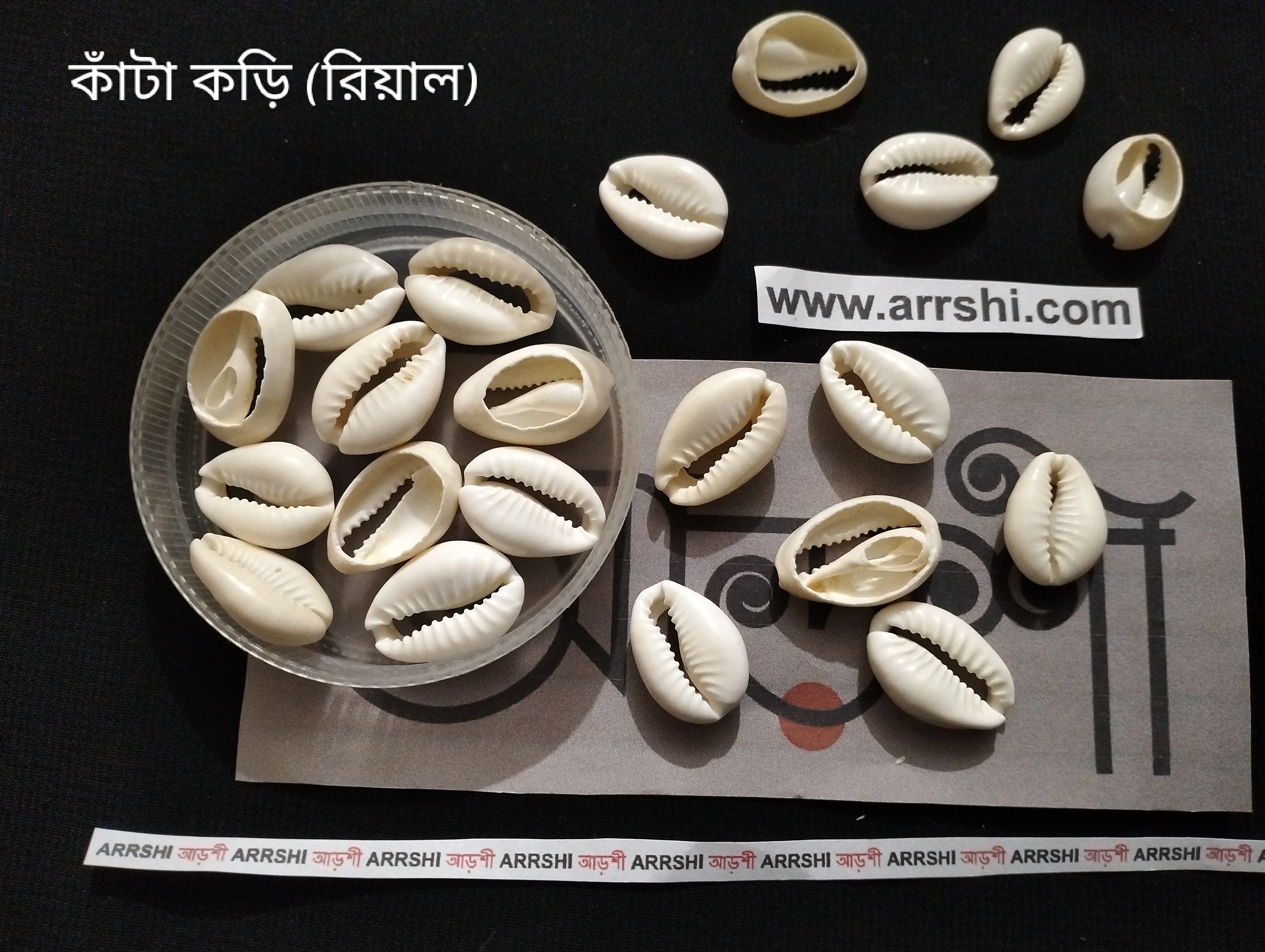 কড়ি - আসল - কাঁটা