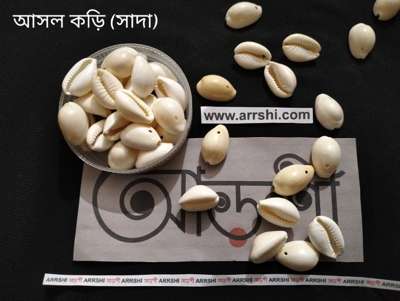 কড়ি - আসল - ছিদ্র